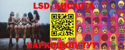a pvp Будённовск
